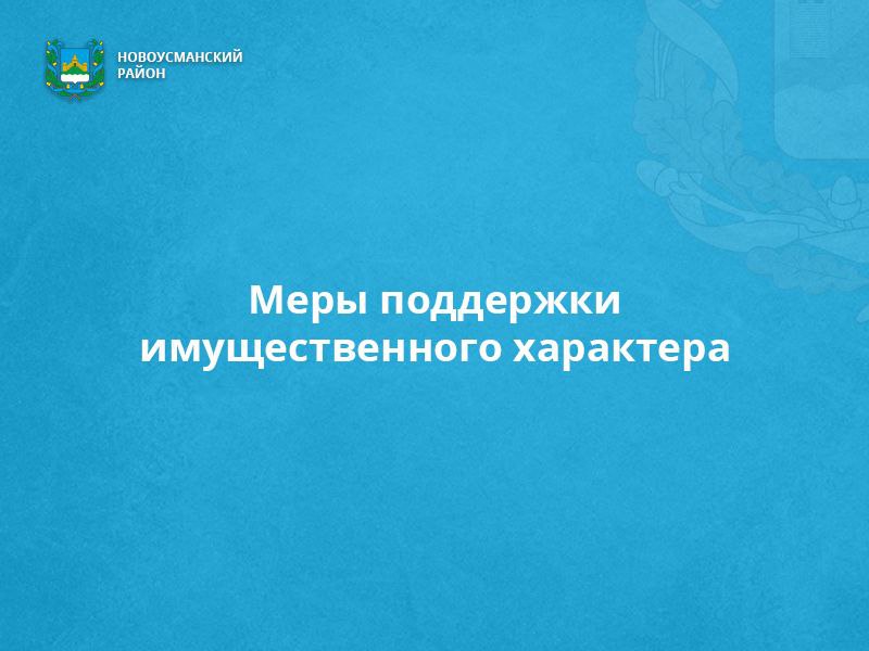 Меры поддержки имущественного характера.