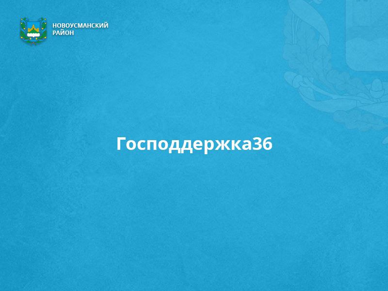 Господдержка36.