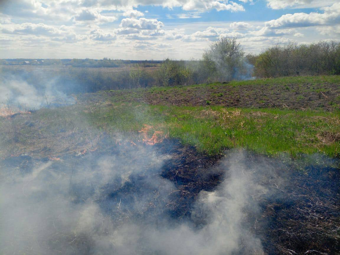 В Новоусманском районе продолжаются рейдовые мероприятия по выявлению нарушителей особого противопожарного режима.