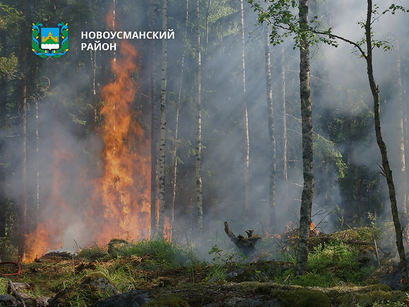 С 17 апреля на территории Воронежской области будет введён особый противопожарный режим.