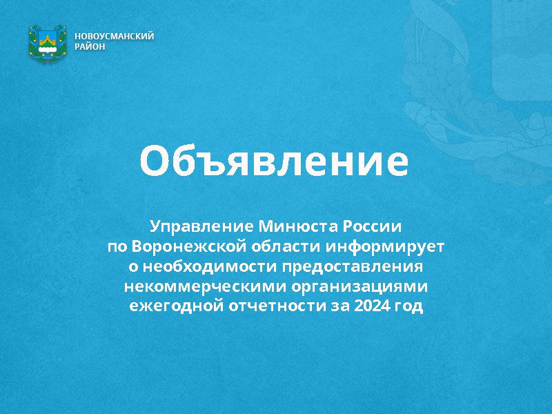 Управление Минюста России по Воронежской области информирует о необходимости предоставления некоммерческими организациями ежегодной отчетности за 2024 год в срок не позднее 15 апреля 2025 года..