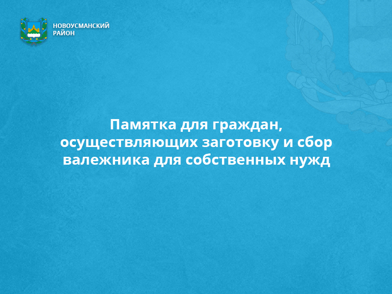 Памятка для граждан, осуществляющих заготовку и сбор валежника для собственных нужд.